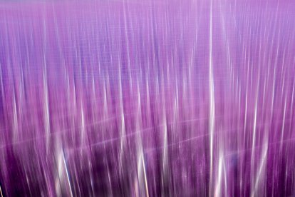 Perspectiva. El projecte vol destacar el paper clau de la pagesia lleidatana i el
respecte envers la natura.