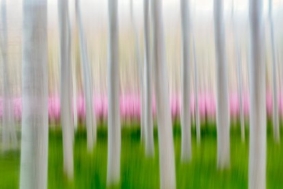 Perspectiva. El projecte vol destacar el paper clau de la pagesia lleidatana i el
respecte envers la natura.