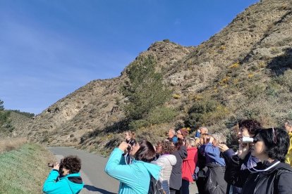 Membres del Col·lectiu Patrimoni d’Alfarràs observant la fauna de la zona de les guixeres a la primavera. - MAGDALENA ALTISENT