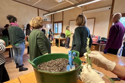 Un dels tallers sobre plantes. - AJUNTAMENT DE LLEIDA