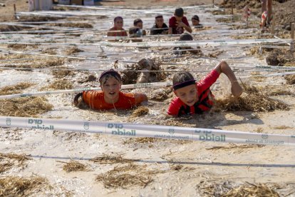 Arbequí de Ferro 2025