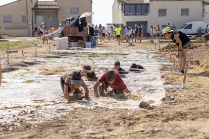 Arbequí de Ferro 2025