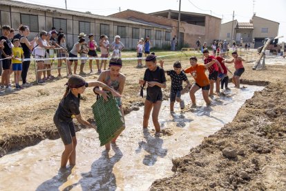 Arbequí de Ferro 2025