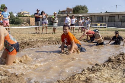 Arbequí de Ferro 2025
