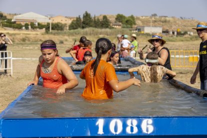 Arbequí de Ferro 2025