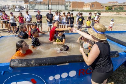 Arbequí de Ferro 2025