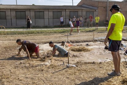 Arbequí de Ferro 2025