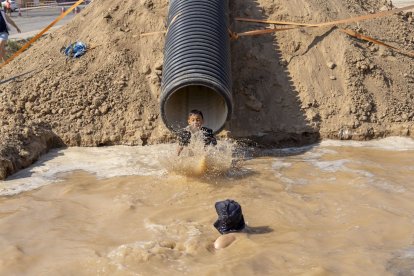 Arbequí de Ferro 2025