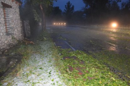 Un arbre caigut a causa de la pluja a la Seu. - C. SANS