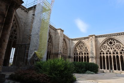 Recta final del ‘lífting’ al claustre de la Seu Vella