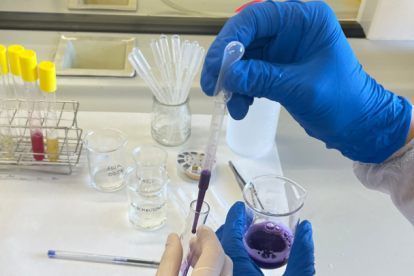 Extracció de compostos bioactius