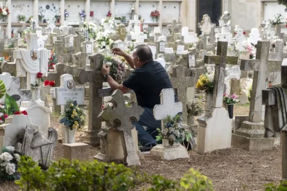 Famílies recorrent ahir el cementiri de Tàrrega. - LAIA PEDRÓS