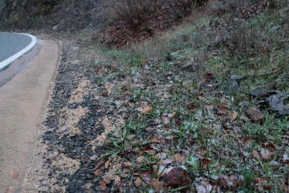 Detall de l'enfarinada a la carretera T-740, entre Falset i Porrera, durant el dia de Nadal amb els primers flocs de neu
