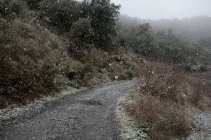 Neu a la carretera T-740, entre Falset i Porrera