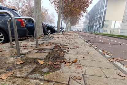 Vorera en mal estat a Jaume II davant del campus de Cappont