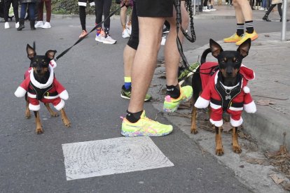 Cursa de Sant Silvestre de Lleida 2025