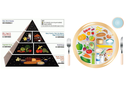 La primera piràmide dels aliments proposada pels EUA, juntament amb el concepte del 'Plat de Harvard'.