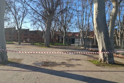 Els Camps Elisis de Lleida, precintats per precaució i per risc de caiguda de branques.