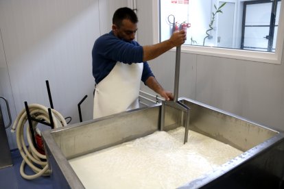 Un trabajador elaborando queso artesano de cabra en El Palau d'Anglesola.