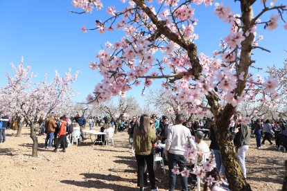 La iniciativa està programada per a diumenge, a partir de les nou.