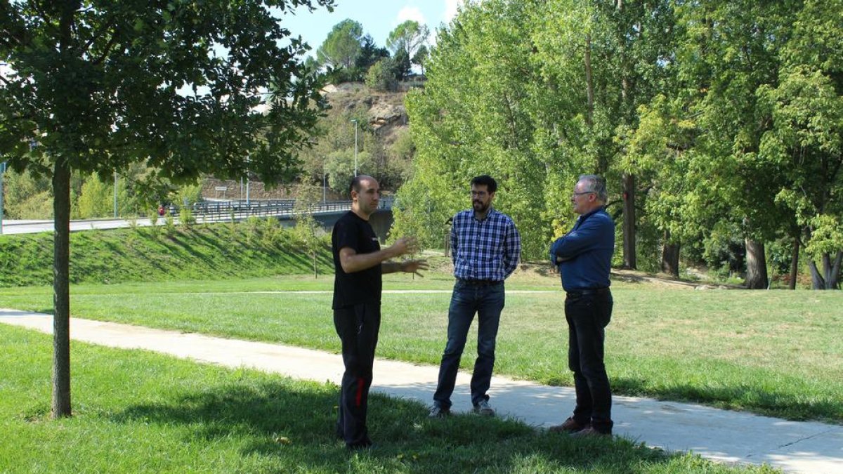 La zona escollida per habilitar el parc per a gossos.