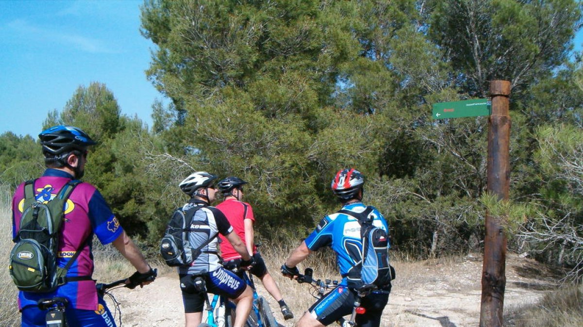 El Segrià vol promocionar el turisme de bici de muntanya.