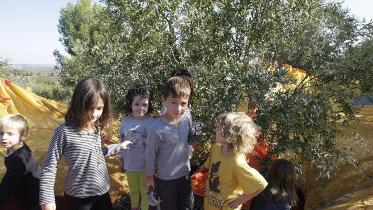 Els més petits es divertien pentinant les branques de les oliveres. A la dreta, la família d’Esteve i Nora, de Barcelona, i a sota, assistents escoltant Benanci.