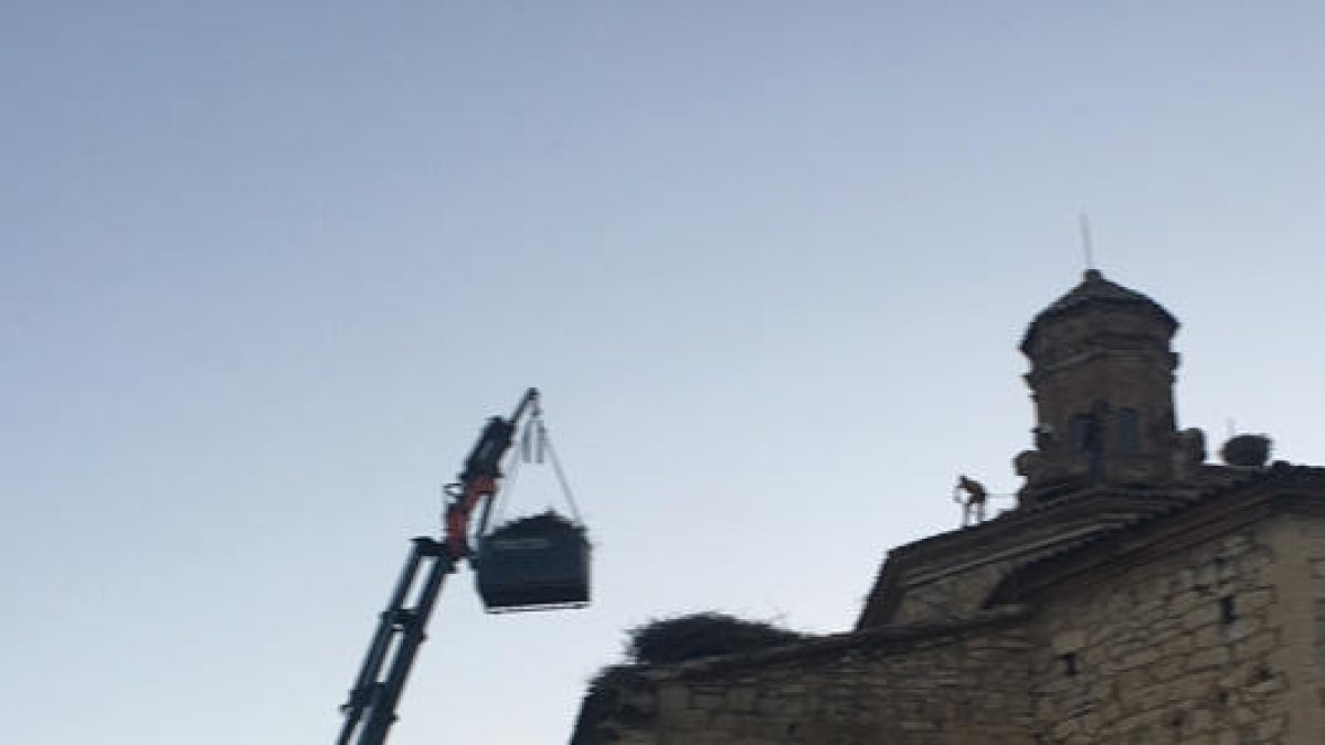 Operaris retirant nius de la teulada de l’església de Seròs.