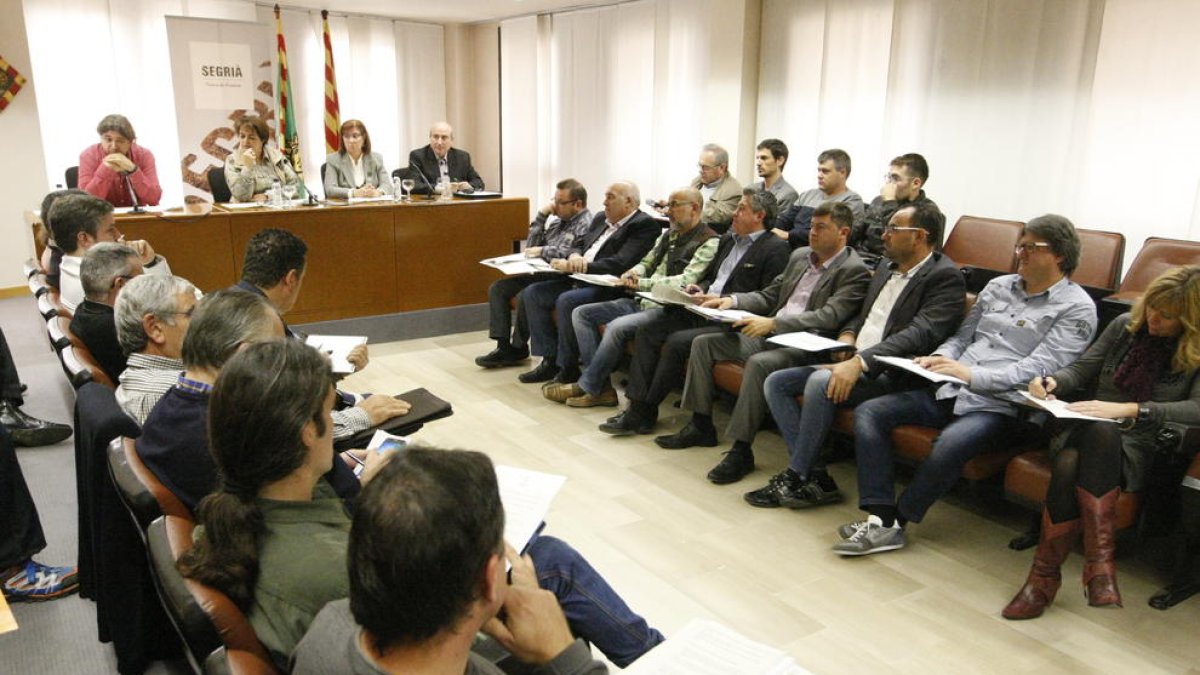 Imagen del pleno de ayer del consell en el que se renovó el convenio para asistir a las Ampas.