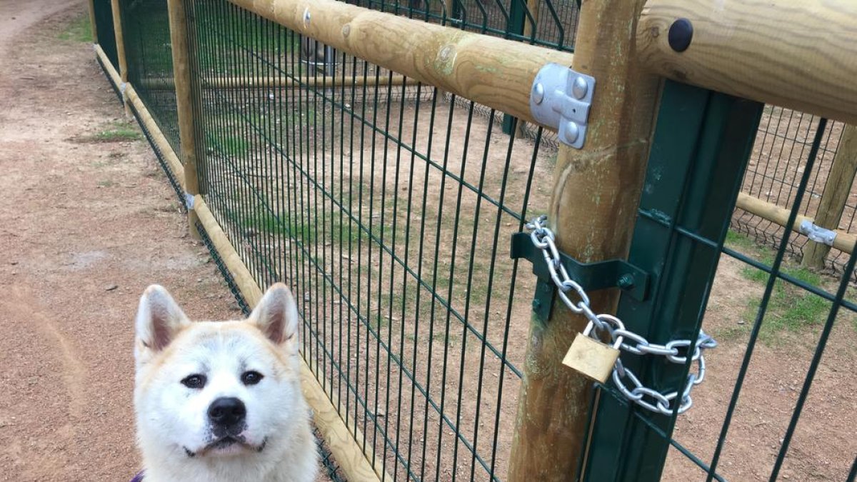 El cadenat que tanca l’accés a la zona tancada per a gossos al parc de Santa Cecília.