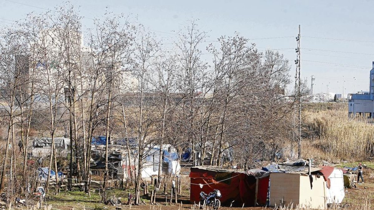 Imatge d'arxiu d'un campament a prop de l'LL-11 a la ciutat de Lleida.