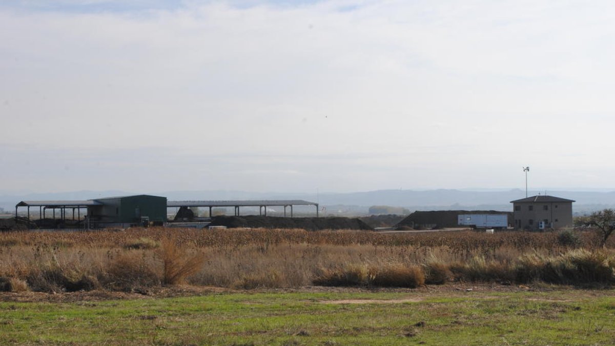 Imagen reciente de la planta de compostaje de Torregrossa.