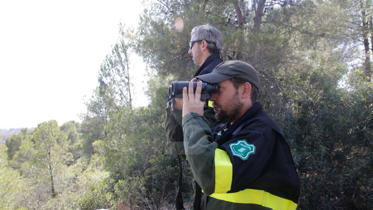 Desalojados en Lleida por el gran fuego de Ribera d'Ebre