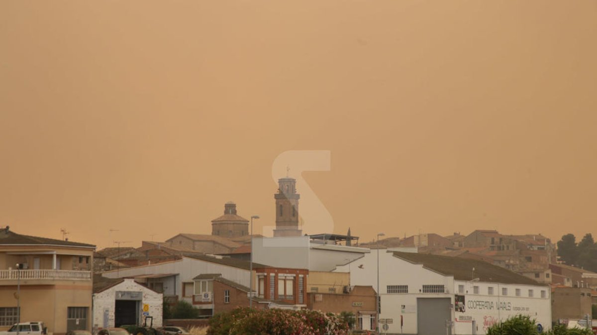 Imatges de l'incendi de la Ribera d'Ebre, que afecta a diversos indrets de les Garrigues i el Segrià