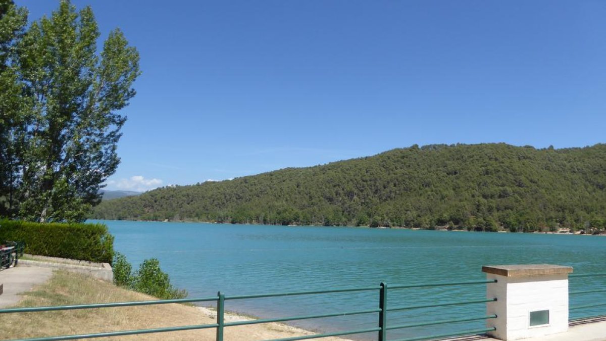 Els boscos de Clariana a l’entorn del pantà de Sant Ponç.