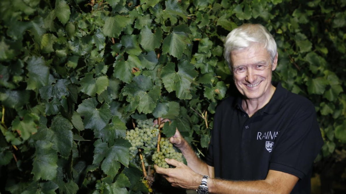 Xavier Farré, director de viticultura de Raimat, con las primeras uvas recolectadas anoche.