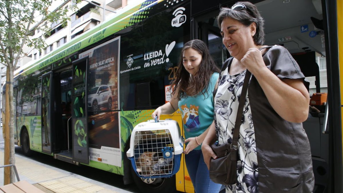 Betty, amb el seu gos Chimi, ahir en un autobús a Lleida.