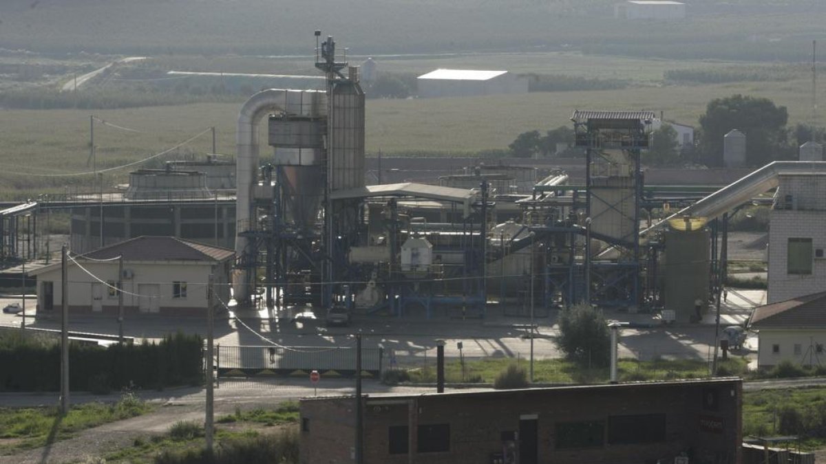 Imagen de archivo de la planta de secado de purines de Alcarràs, cerrada desde 2014.