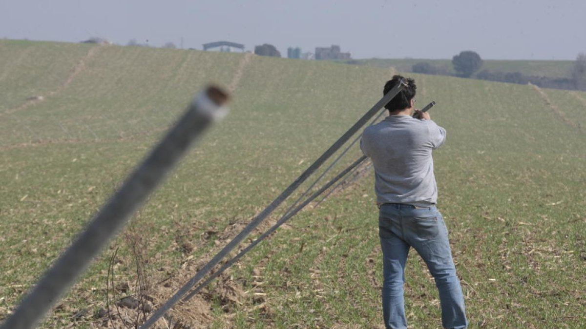 L’agricultor de Castelló a la finca de cereal en la qual s’han sostret els 1.500 aspersors.