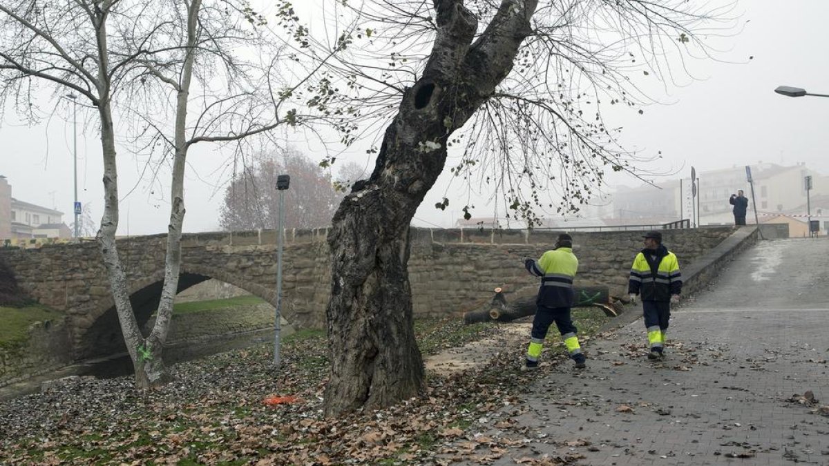 Agramunt inicia obres al pont Romànic per evitar danys per riuades