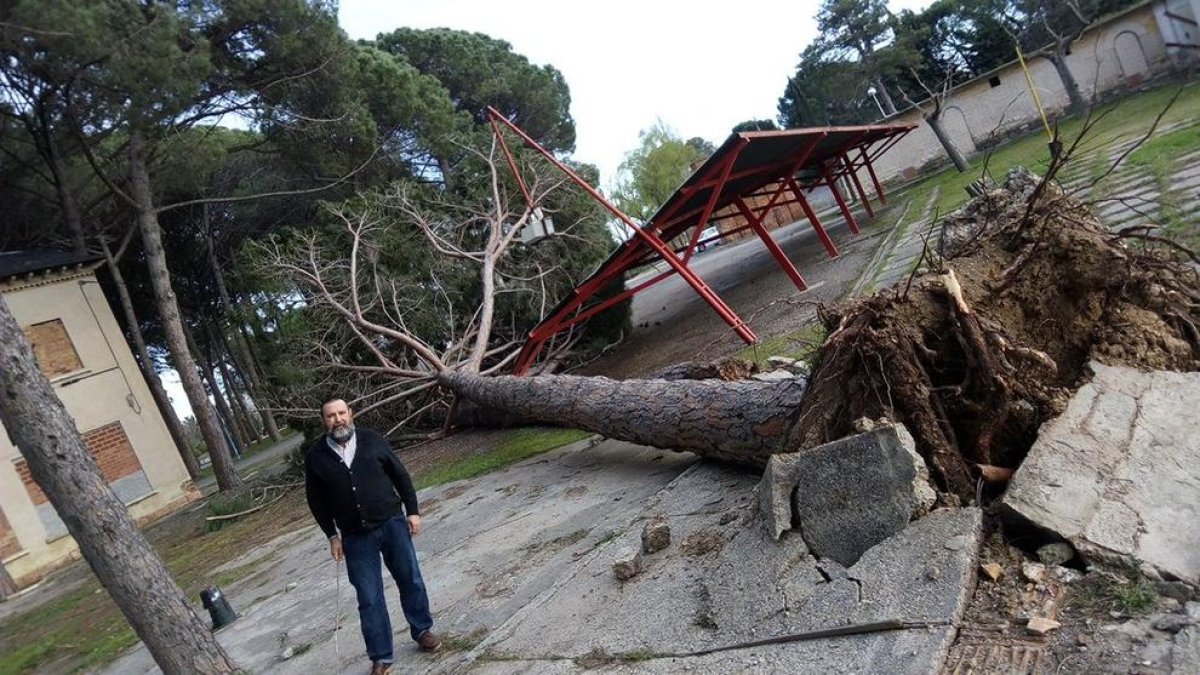 Jornada de vent amb ratxes de més de 84 km/h a Alguaire