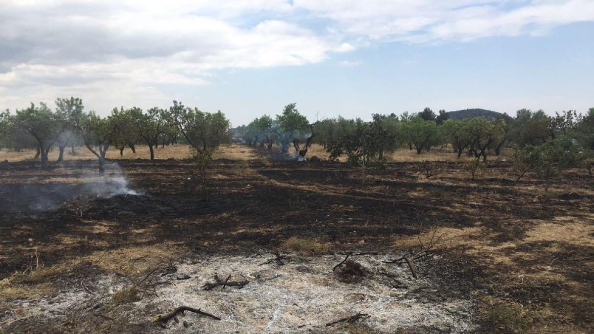 Imagen del incendio de Cervià de Les Garrigues. 