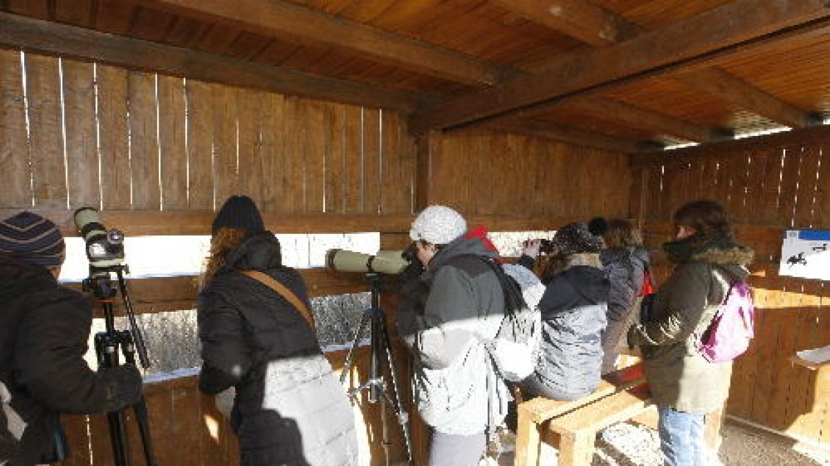 Participants en el cens d’aus que va tenir lloc a la Mitjana, en un moment de l’observació.