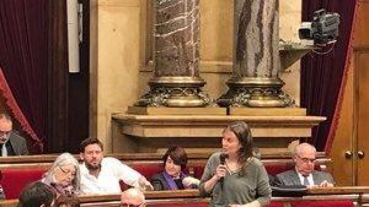 La consellera Serret, aquest dimecres al Parlament.