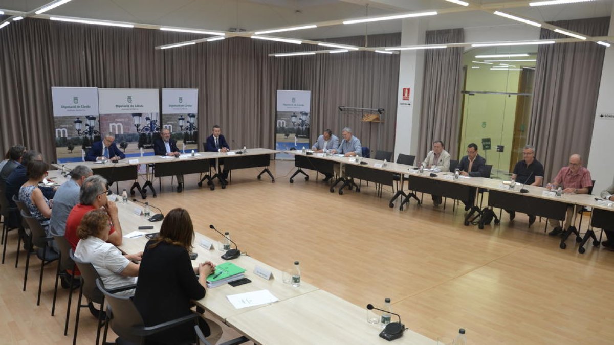 La reunió ahir de la Diputació i consells amb representants d’Endesa i la Generalitat.