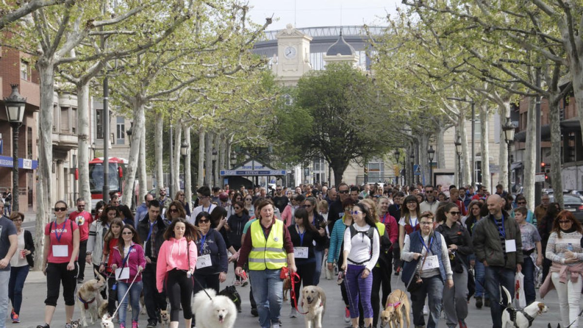 Desfilada de mascotes a la rambla de Ferran de Lleida.