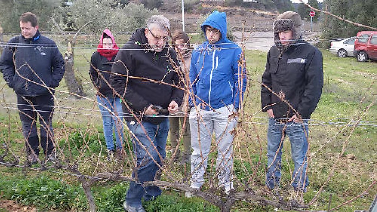 Alumnes d’aquest grau de l’IES Josep Vallverdú atenen en una classe sobre la poda de vinyes.