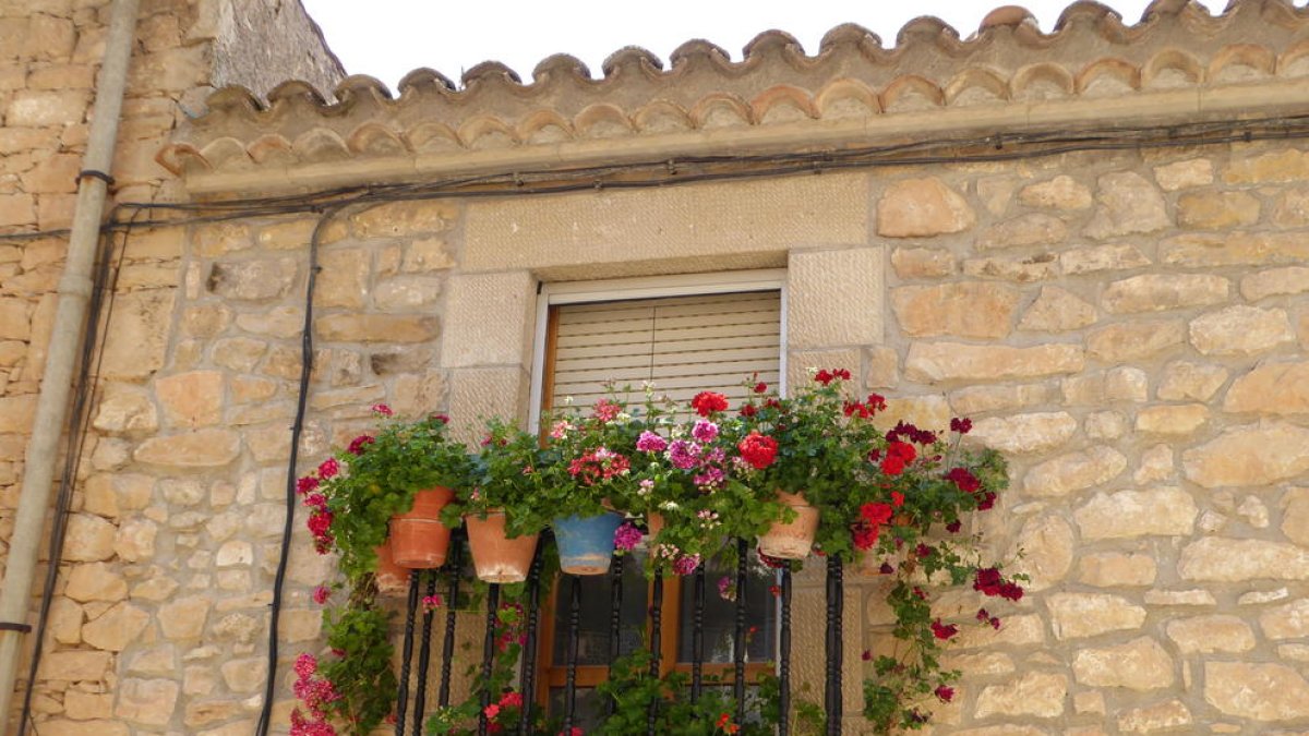 Balcó florit al poble de Tarrés, comarca de les Garrigues.