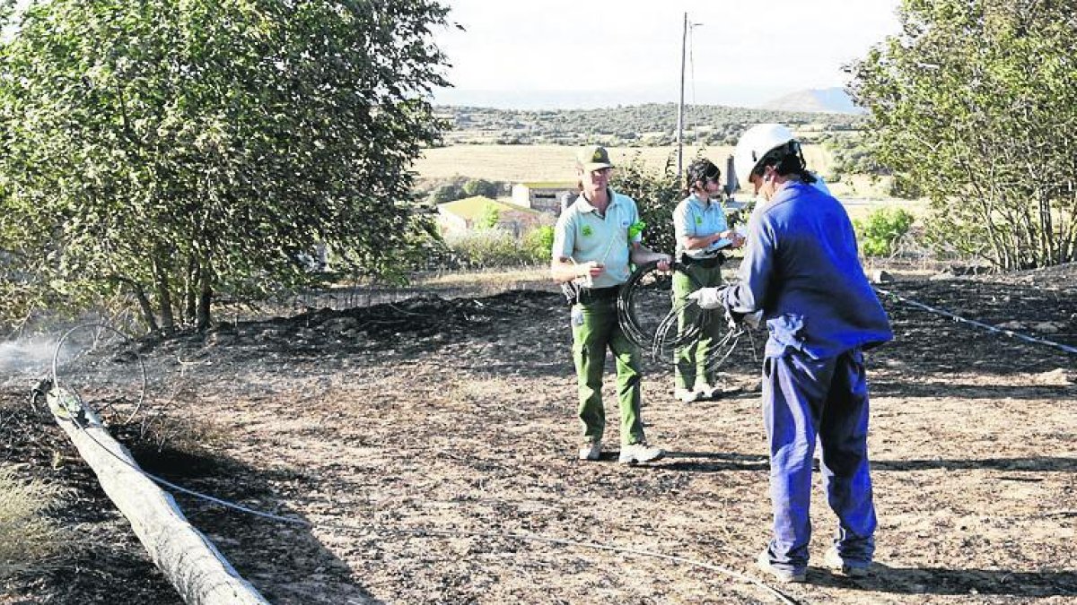 El pal de la línia elèctrica que va causar l’incendi.