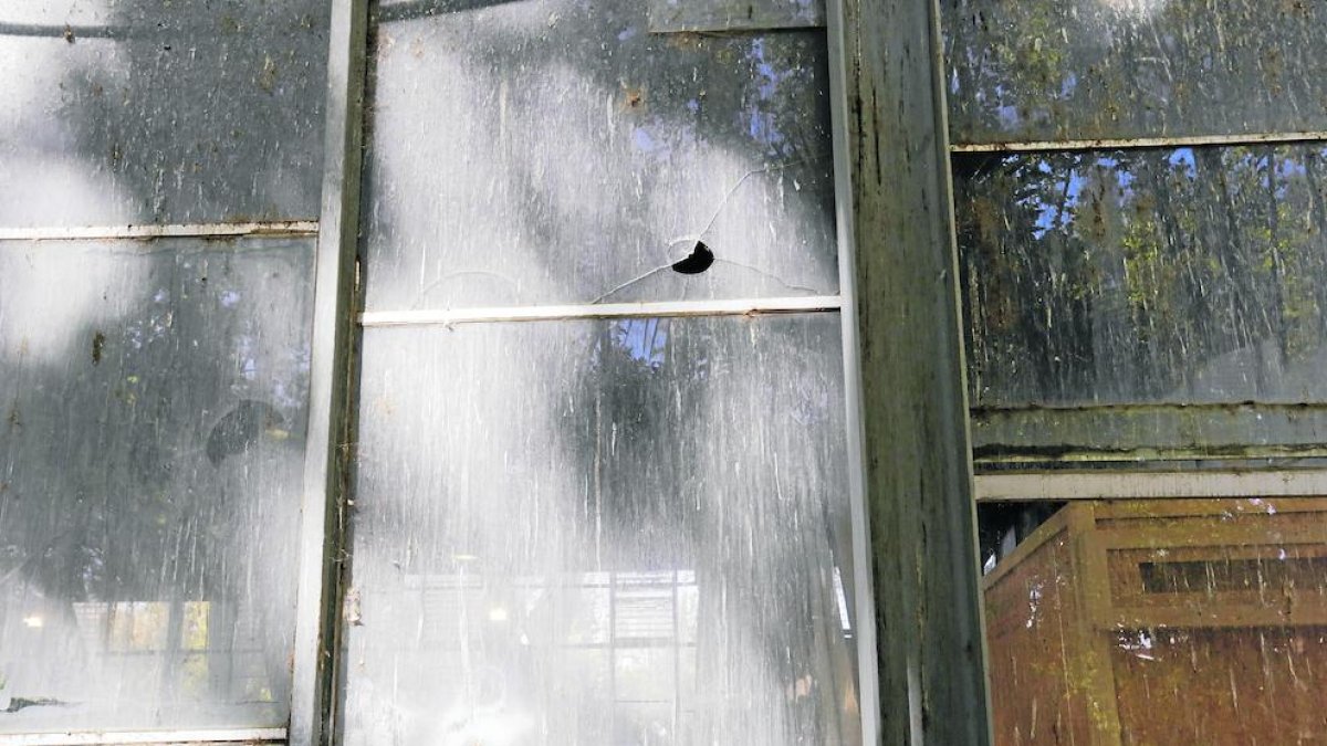 Aquesta imatge mostra la brutícia acumulada i el mal estat dels vidres del Palau de Vidre.